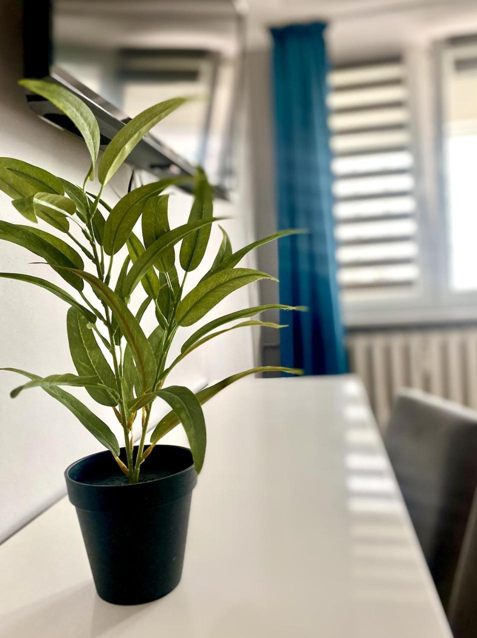 ביאליסטוק Doba Rent Pokoje Centrum Palacowa מראה חיצוני תמונה